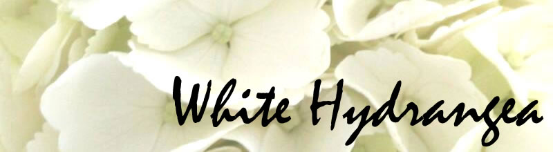 white hydrangea header